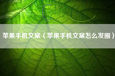 苹果手机文案（苹果手机文案怎么发圈）