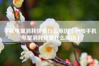 手机电量消耗快是什么原因（一加手机电量消耗快是什么原因）