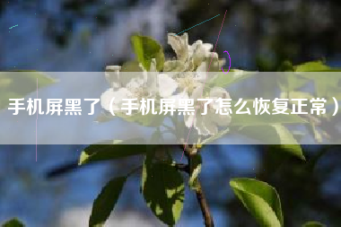 手机屏黑了（手机屏黑了怎么恢复正常）
