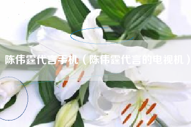 陈伟霆代言手机（陈伟霆代言的电视机）
