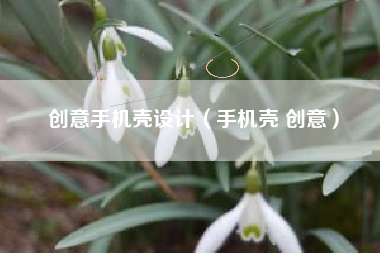 创意手机壳设计（手机壳 创意）