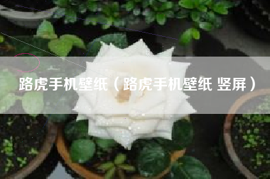 路虎手机壁纸（路虎手机壁纸 竖屏）