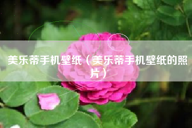 美乐蒂手机壁纸（美乐蒂手机壁纸的照片）