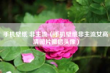 手机壁纸 非主流（手机壁纸非主流女高清图片微信头像）