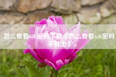 怎么查看wifi密码手机（怎么查看wifi密码手机上）