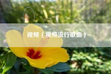 视频（视频流行歌曲）