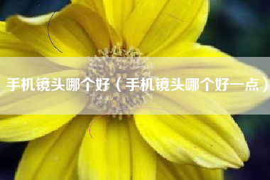 手机镜头哪个好（手机镜头哪个好一点）