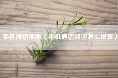手机通话加密（手机通话加密怎么设置）