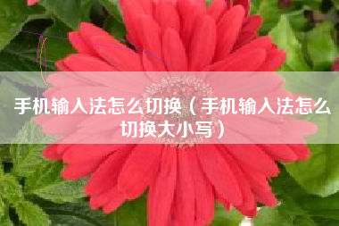 手机输入法怎么切换（手机输入法怎么切换大小写）