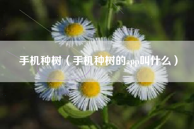 手机种树（手机种树的app叫什么）