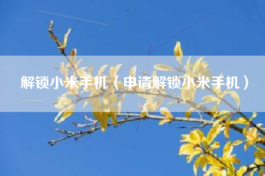 解锁小米手机（申请解锁小米手机）