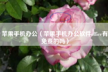 苹果手机办公（苹果手机办公软件office有免费的吗）