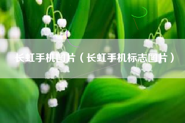 长虹手机图片（长虹手机标志图片）
