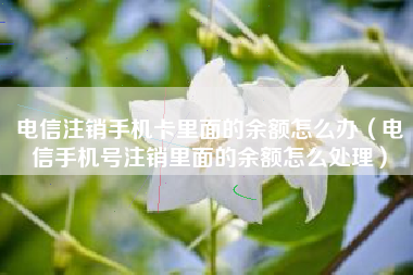 电信注销手机卡里面的余额怎么办（电信手机号注销里面的余额怎么处理）