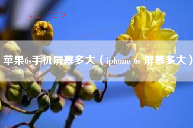 苹果6s手机屏幕多大（iphone 6s 屏幕多大）