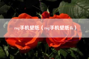rog手机壁纸（rog手机壁纸4k）