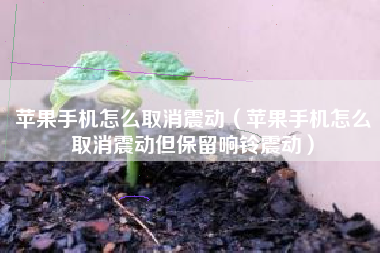 苹果手机怎么取消震动（苹果手机怎么取消震动但保留响铃震动）