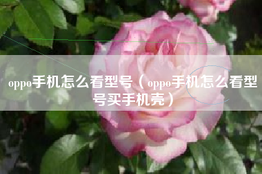 oppo手机怎么看型号（oppo手机怎么看型号买手机壳）