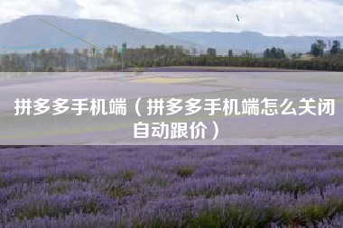 拼多多手机端（拼多多手机端怎么关闭自动跟价）
