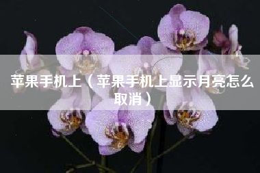 苹果手机上（苹果手机上显示月亮怎么取消）