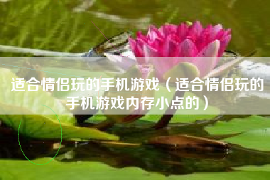 适合情侣玩的手机游戏（适合情侣玩的手机游戏内存小点的）