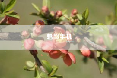 魅影手机