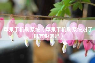 苹果手机刷系统（苹果手机刷系统对手机有影响吗）