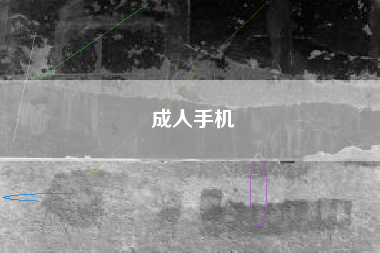 成人手机