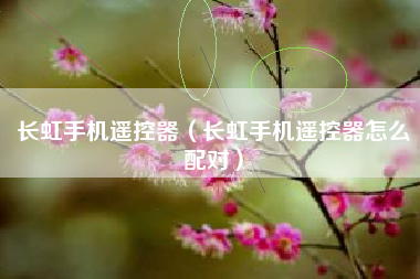 长虹手机遥控器（长虹手机遥控器怎么配对）