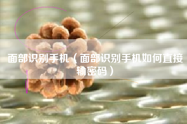 面部识别手机（面部识别手机如何直接输密码）