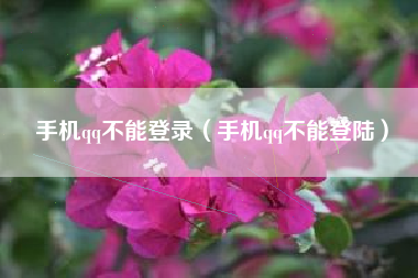 手机qq不能登录（手机qq不能登陆）