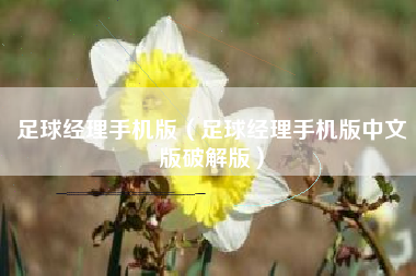 足球经理手机版（足球经理手机版中文版破解版）