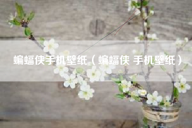 蝙蝠侠手机壁纸（蝙蝠侠 手机壁纸）
