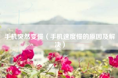 手机突然变慢（手机速度慢的原因及解决）