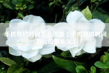 手机息屏时间怎么设置（手机息屏时间怎么设置永久）