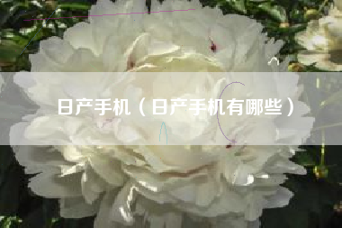 日产手机（日产手机有哪些）