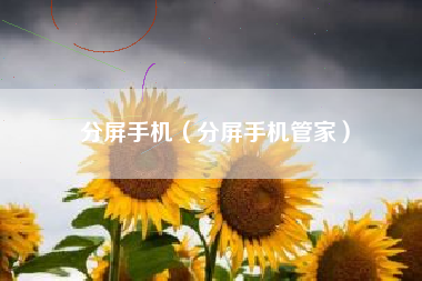 分屏手机（分屏手机管家）
