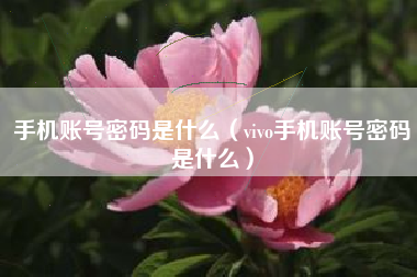 手机账号密码是什么（vivo手机账号密码是什么）