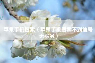 苹果手机搜索（苹果手机搜索不到信号无服务）