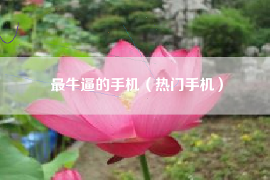 最牛逼的手机（热门手机）