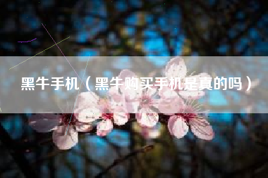 黑牛手机（黑牛购买手机是真的吗）