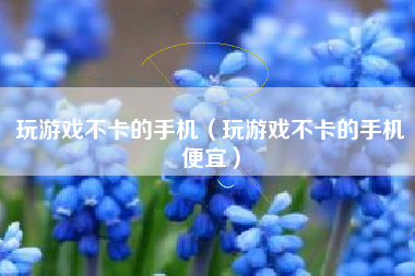玩游戏不卡的手机（玩游戏不卡的手机便宜）