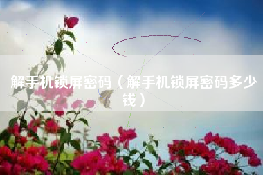 解手机锁屏密码（解手机锁屏密码多少钱）