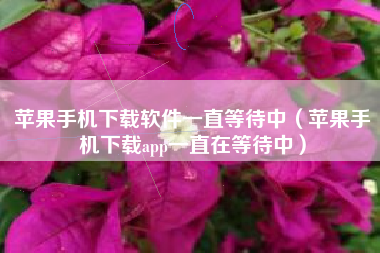 苹果手机下载软件一直等待中（苹果手机下载app一直在等待中）