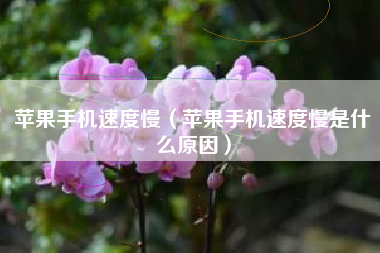 苹果手机速度慢（苹果手机速度慢是什么原因）