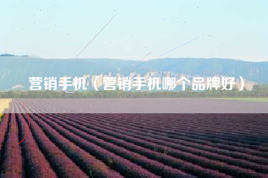营销手机（营销手机哪个品牌好）