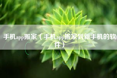 手机app搬家（手机app搬家到新手机的软件）