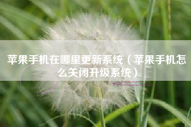 苹果手机在哪里更新系统（苹果手机怎么关闭升级系统）
