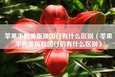 苹果手机美版跟国行有什么区别（苹果手机美版和国行的有什么区别）