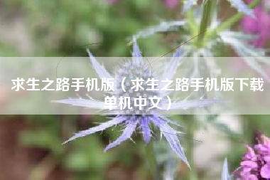 求生之路手机版（求生之路手机版下载单机中文）